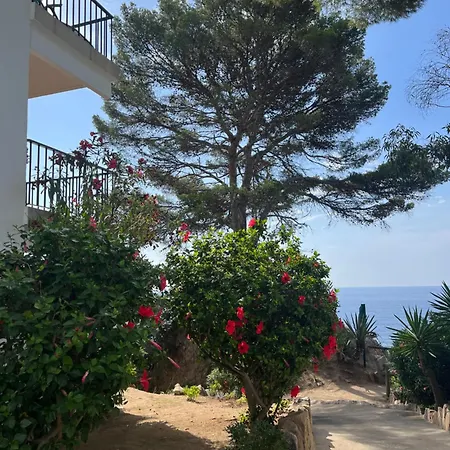 Apartament Les Terrasses De Cala Llevado 3